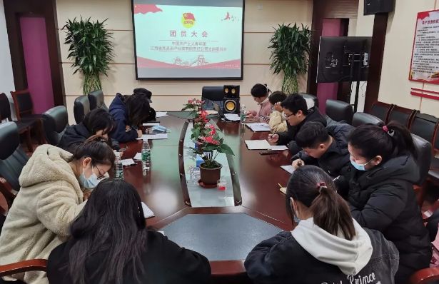 公司团支部开展“致意2035”主题团日活动暨第二次团员大会