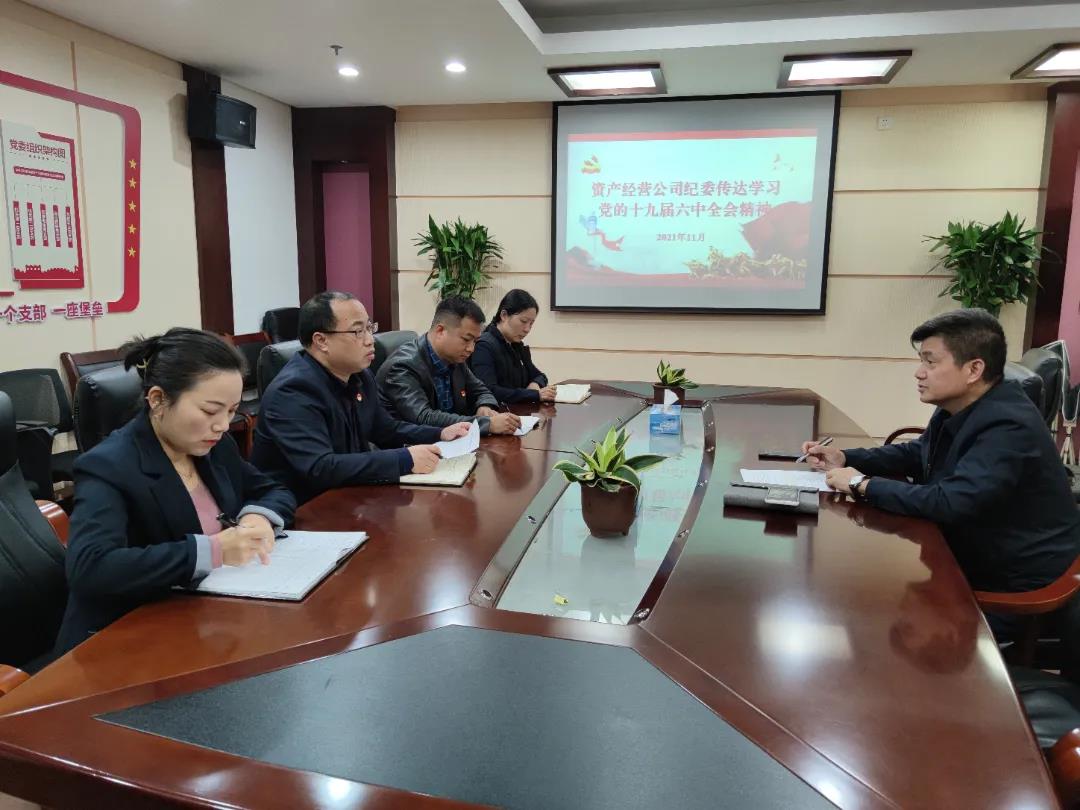 公司纪委学习贯彻党的十九届六中全会精神