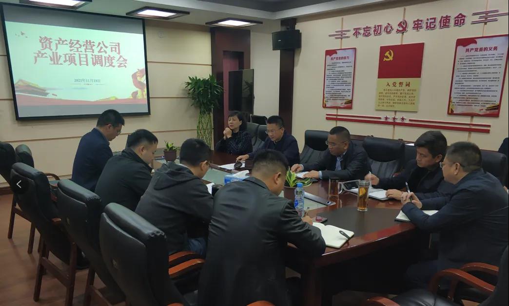 公司召开产业项目调度布置会