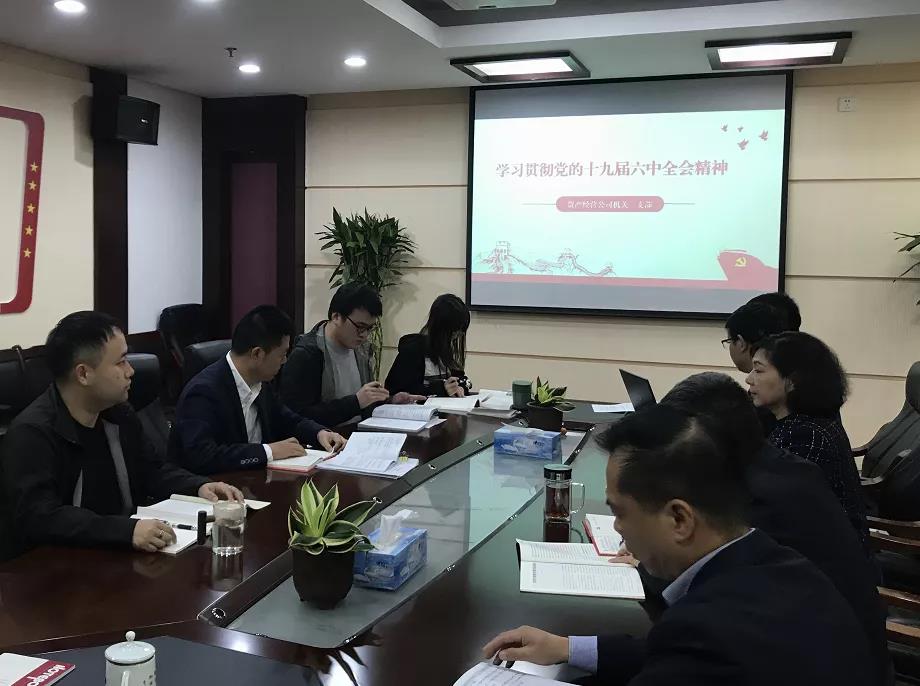 公司机关第一党支部开展“学习贯彻党的十九届六中全会精神”主题党日活动