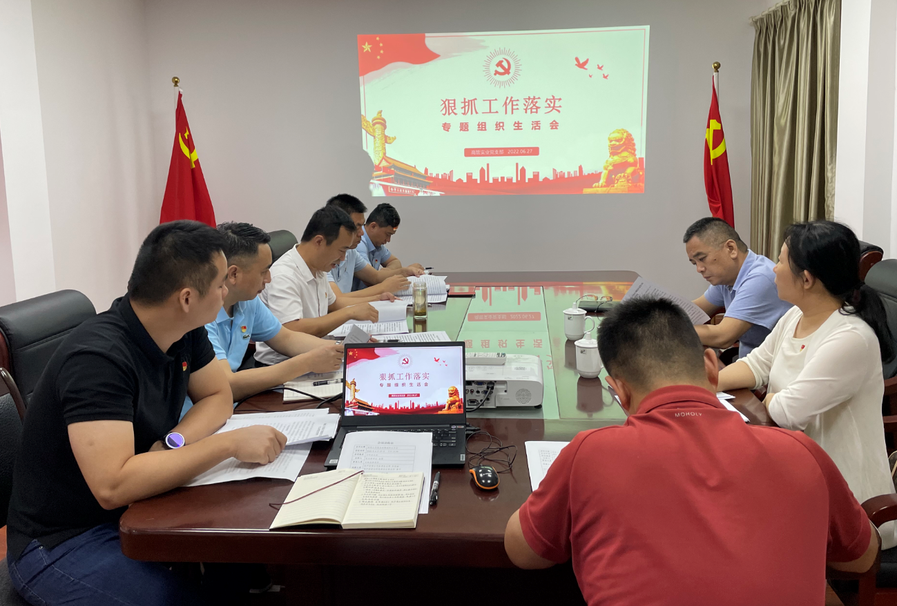 公司各党支部召开狠抓工作落实专题组织生活会