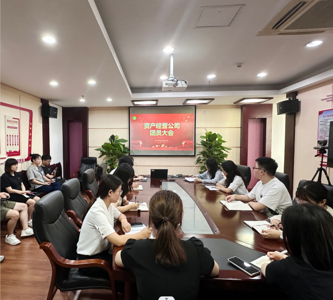 “团”聚正能量，“青”春心向党——公司召开团员大会