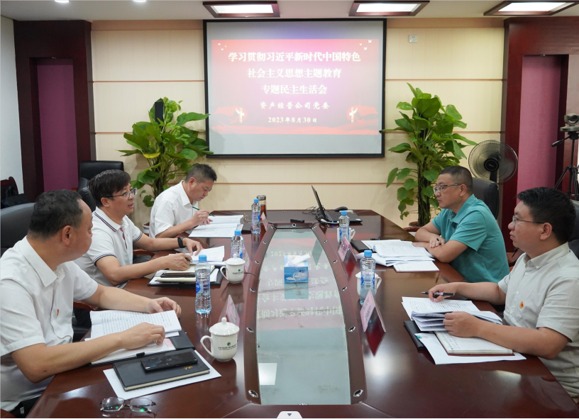 公司领导班子召开学习贯彻习近平新时代中国特色社会主义思想主题教育专题民主生活会